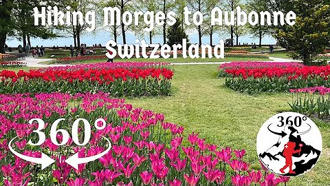 Spring Flower Festival in Morges, (360-degree, VR Video of Long Distance Hiking in Switzerland)