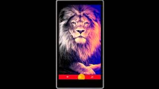 Zedge es la mejor aplicación para nuestro tonos y wallpapers en windows phone screenshot 5