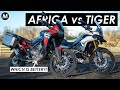 2022 Honda Africa Twin CRF1100L vs. Triumph Tiger 900 Rally Pro: Which Should You Buy?!