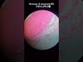 microscope🩺🔬 #youtubeshorts #shorts #viral #like #neet #mbbs#biology #student#funny#shortvideo #bds