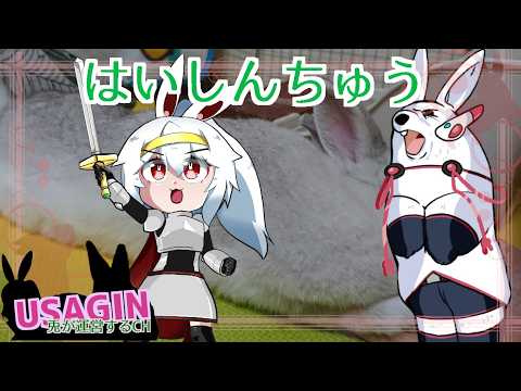 【僕はポケモン】深夜のぽこ あ ポケモン260411【うさぎが運営してるVtuber】