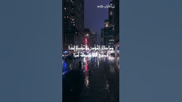 أحمد بن طالب آيات من سورة الأحزاب