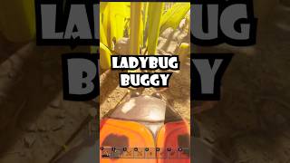 TEST RIDING THE LADBUG BUGGIE IN GROUNDED 2!