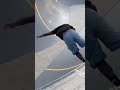 🌊 Alex & Zion Shredding A Gold Coast Bowl!