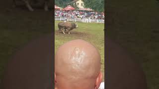 Cupo Vl.farma Fis Vs Medonja Vl.asim Smajic