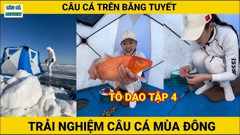 Trải Nghiệm Câu Cá Mùa Đông | T04 | Tô Dao | Câu Cá Trên Băng | CÂU CÁ REVIEW #câucá #câucátrênbăng