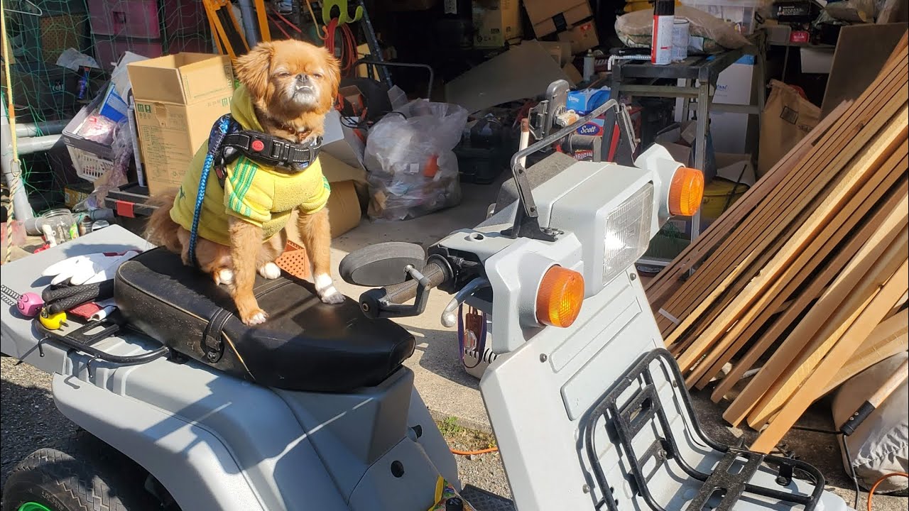 #ジャイロ#2st    ガスケットが欲しいお年頃。