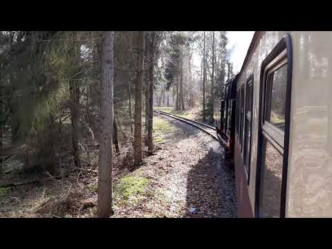 🌲🚂🌲🚂 99 6001 auf dem Weg zum Ramberg (17.03.2024) 🚂🌲🚂🌲