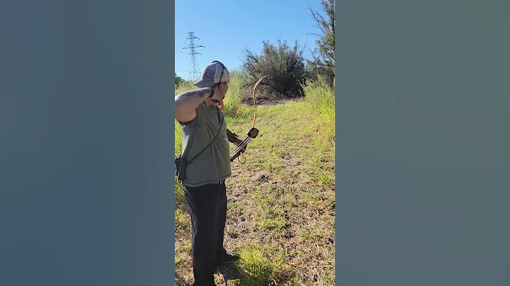 mountain lion kill!#archery #bowhunting #bowhunter #whitetail #target #abt #arrows #arrows #steel