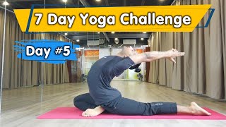 7 Day Yoga Challenge for Beginner (Day-5) | Based on Vinyasa Flow | Yograja