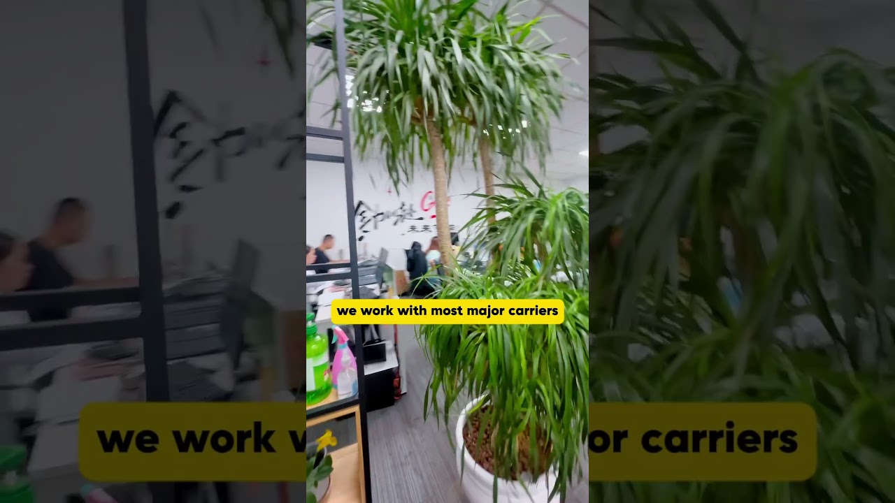 Your trusted logistics partner in China , Shipping to the US, Canada  and South America