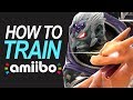 How To Train A Raid Boss Amiibo