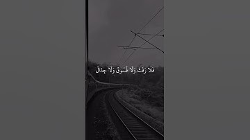 سورة البقرة- د/عادل أحمد زكي