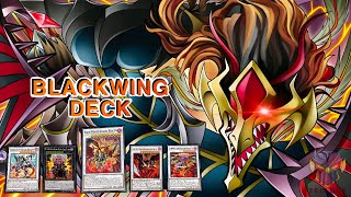 BLACKWING DECK WITH TRIPLE TAX AND KALI YUGA COMBO - BLACKWING ARCHETYPE | YU-GI-OH! MASTER DUEL