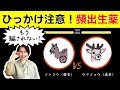 【登録販売者試験】ひっかけ問題に注意！押さえておきたい頻出生薬 【スト２風】