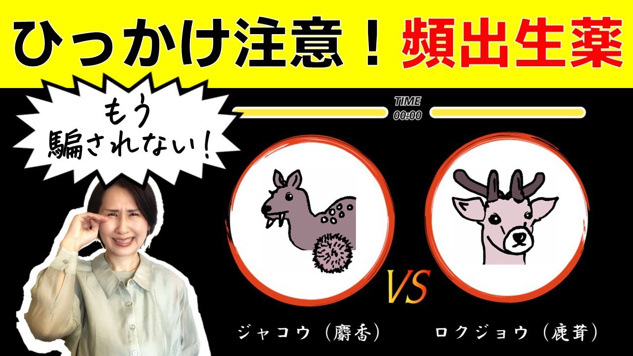 【登録販売者試験】ひっかけ問題に注意！押さえておきたい頻出生薬 【スト２風】