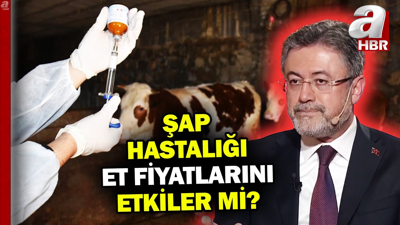Şap hastalığı et fiyatlarını nasıl etkiliyor? Bakan Yumaklı yanıt verdi | A Haber