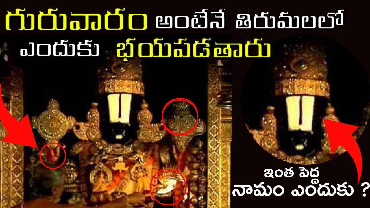 తిరుమల రహస్యాలు చరిత్ర | Tirupati Mysteries| Sri Venkateshwara Swamy #tirupati #ttd #tirumala