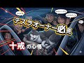 テスラオーナー必見‼十戒の心得