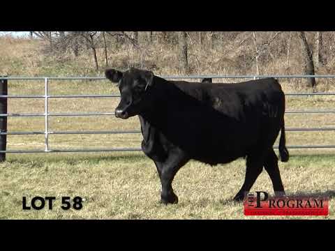 The Program 58