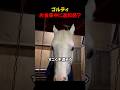 ごはん中なのに怒ってる？こだわりが強すぎるお馬さん