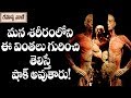 Interesting facts about the human body  rahasyavaani
