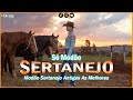 Musica Sertaneja 🎸 Sertanejas Antigas 🎸 Musica Caipira Sertanejo Raiz Coisas Da Roça