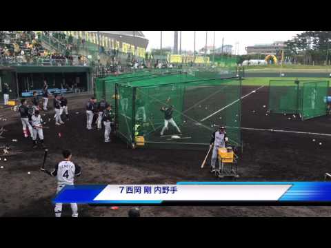 阪神タイガースキャンプ031 沖縄 7 西岡剛 トスバッティング