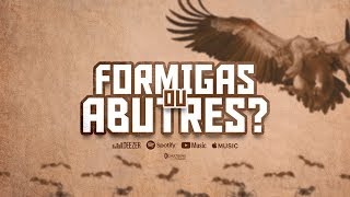 Emerson Orofino - Formigas ou Abutres? (LYRIC VIDEO)
