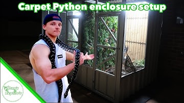 Carpet/Diamond Python Setup