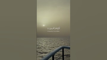 القارئ |ياسر الدوسري /سوره الحشر