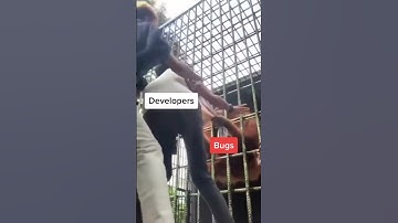 Developer bugs #developers #bug #coding