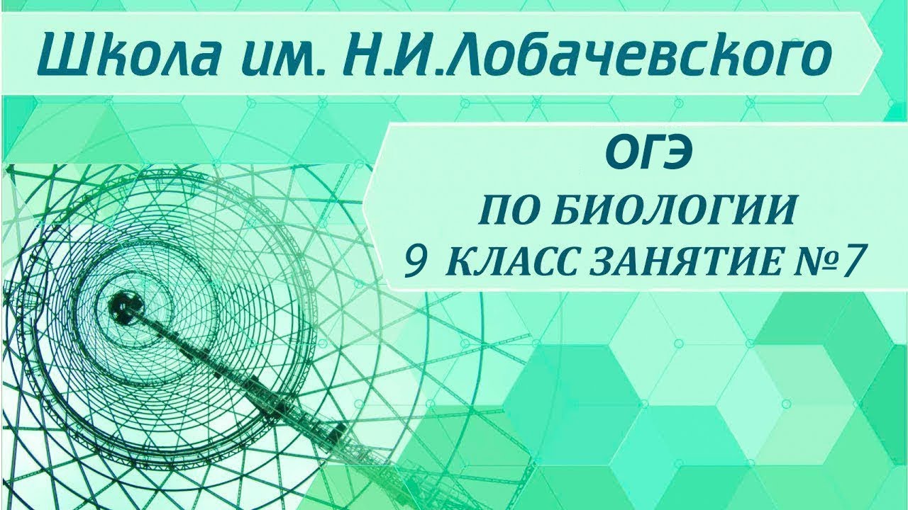 ⁣ОГЭ по биологии 9 класс.  Занятие 7. Царство растений. Общая характеристика.