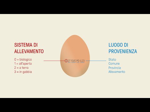 Video: Come Leggere Un Uovo