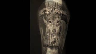 Top Most Amazing Wildlife Tattoos Ideas