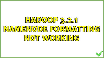 Hadoop 3.2.1 namenode formatting not working