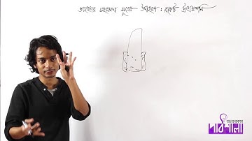 02. Conservation of Momentum Basic Part 04 | ভরবেগের সংরক্ষণশীলতা পর্ব ০৪ | OnnoRokom Pathshala