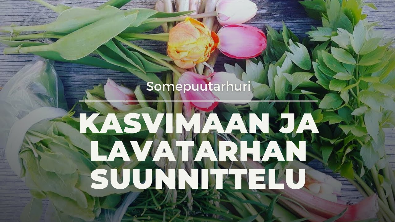 Somepuutarhuri: Kasvimaan ja lavatarhan suunnittelu