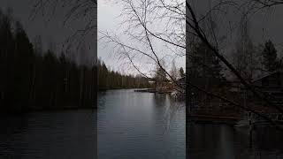 ПОЗДНЯЯ ОСЕНЬ, ГРУСТНО. НОЧИ ЧЕРНЫЕ, ДНИ СЕРЫЕ.   PIMEÄ AIKA VUODESSA.