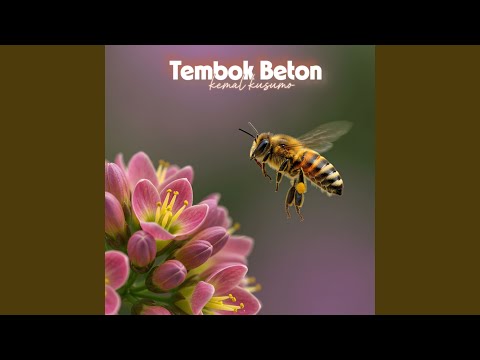 What is a Seawall? Maintenance, Lifespan \u0026 When to Call an Expert