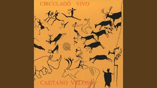 Video thumbnail of "Caetano Veloso - Jokerman (Live 1992)"