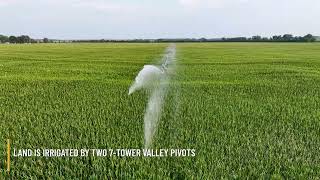 Pierce County Nebraska Irrigated Farms for Sale