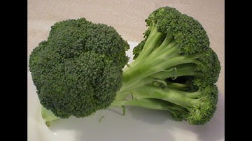 Broccoli 101-Selecting & Storing Fresh Broccoli