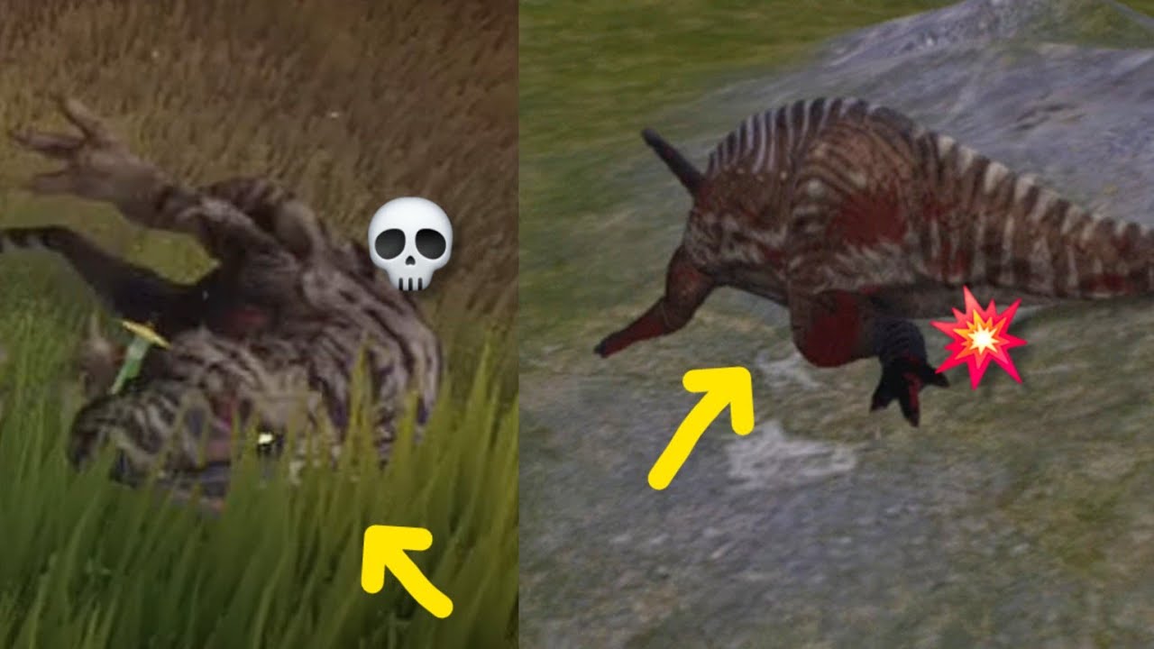 Todas as animações de queda do The cursed isle