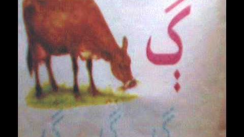 LETS LEARN SINDHI ALPHABET4.wmv