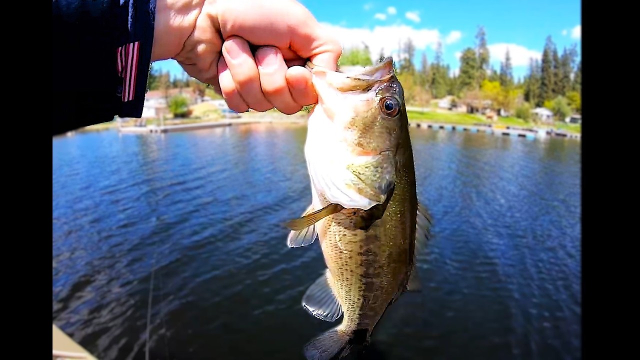Bass Fishing Eloika Lake Washington! | May 2025