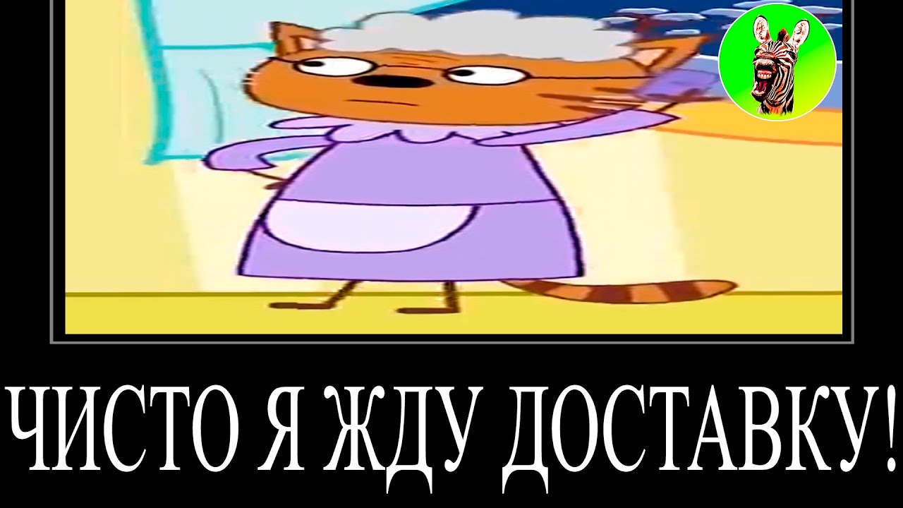 МУД ТРИ КОТА (СБОРНИК 155 - 157) ДЕМОТИВАТОР | ЧИСТО Я ЖДУ ДОСТАВКУ ...