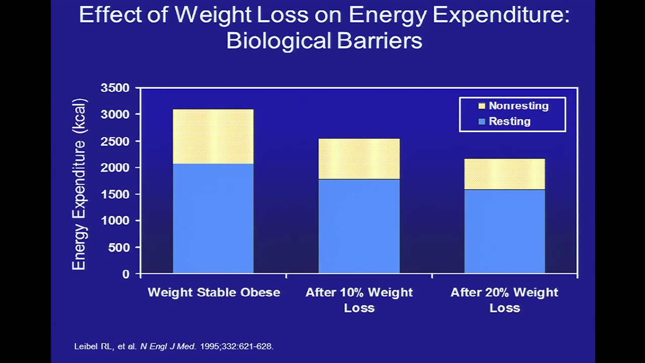 Symposium on Diabetes and Obesity: Xavier Pi-Sunyer, MD - YouTube