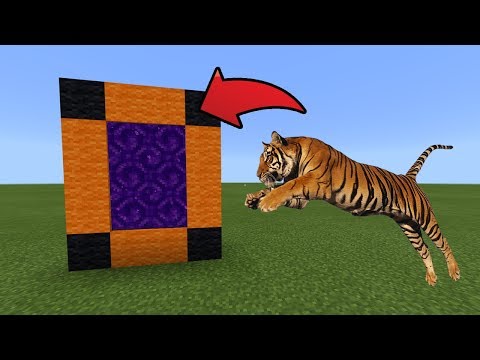 How To Make a Portal to the Tiger Dimension in MCPE (Minecraft PE)