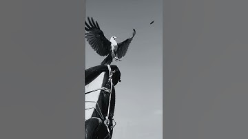 The 7 Most Powerful Life Lessons Everyone Learns Too Late